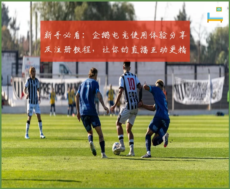 新手必看：企鹅电竞使用体验分享及注册教程，让你的直播互动更精彩