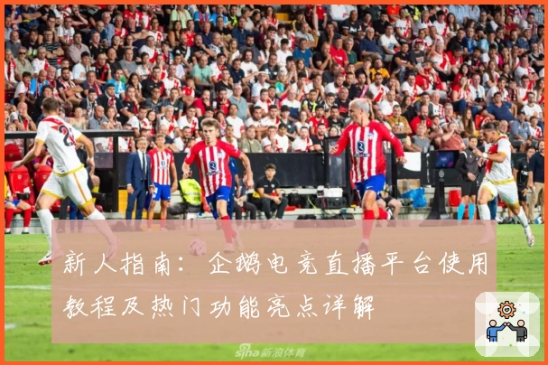 新人指南：企鹅电竞直播平台使用教程及热门功能亮点详解