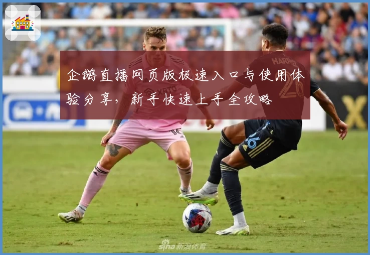 企鹅直播网页版极速入口与使用体验分享，新手快速上手全攻略