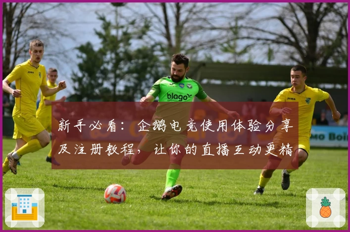 新手必看:企鹅电竞使用体验分享及注册教程,让你的直播互动更精彩