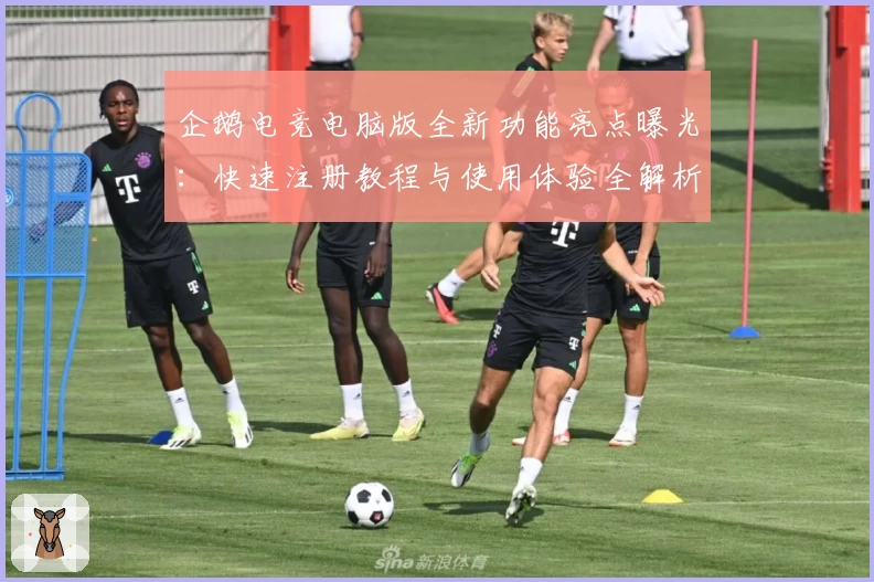 企鹅电竞电脑版全新功能亮点曝光：快速注册教程与使用体验全解析