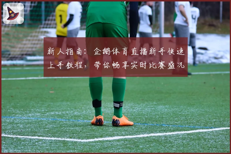 新人指南：企鹅体育直播新手快速上手教程，带你畅享实时比赛盛况