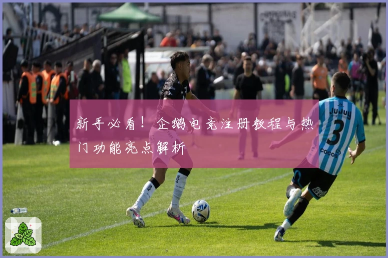 新手必看!企鹅电竞注册教程与热门功能亮点解析