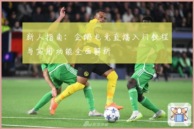 新人指南：企鹅电竞直播入门教程与实用功能全面解析