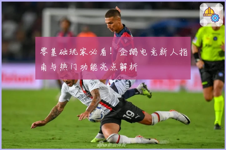 零基础玩家必看！企鹅电竞新人指南与热门功能亮点解析