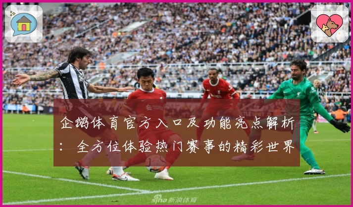 企鹅体育官方入口及功能亮点解析：全方位体验热门赛事的精彩世界