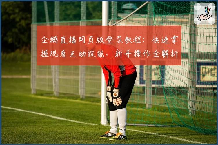 企鹅直播网页版登录教程：快速掌握观看互动技能，新手操作全解析