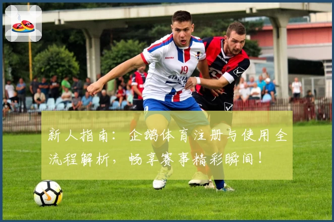 新人指南：企鹅体育注册与使用全流程解析，畅享赛事精彩瞬间！