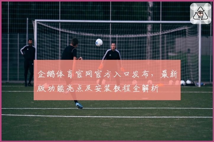 企鹅体育官网官方入口发布，最新版功能亮点及安装教程全解析