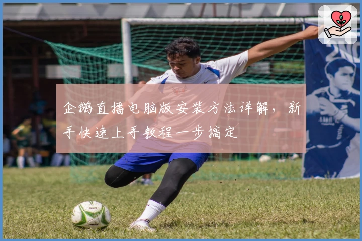 企鹅直播电脑版安装方法详解，新手快速上手教程一步搞定