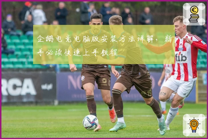 企鹅电竞电脑版安装方法详解，新手必读快速上手教程