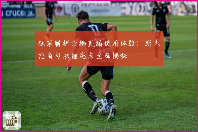 独家解析企鹅直播使用体验：新人指南与功能亮点全面揭秘