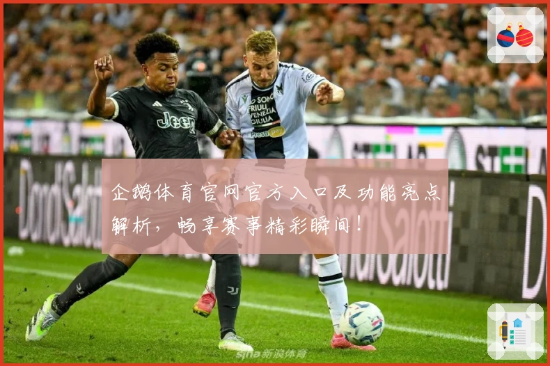 企鹅体育官网官方入口及功能亮点解析，畅享赛事精彩瞬间！