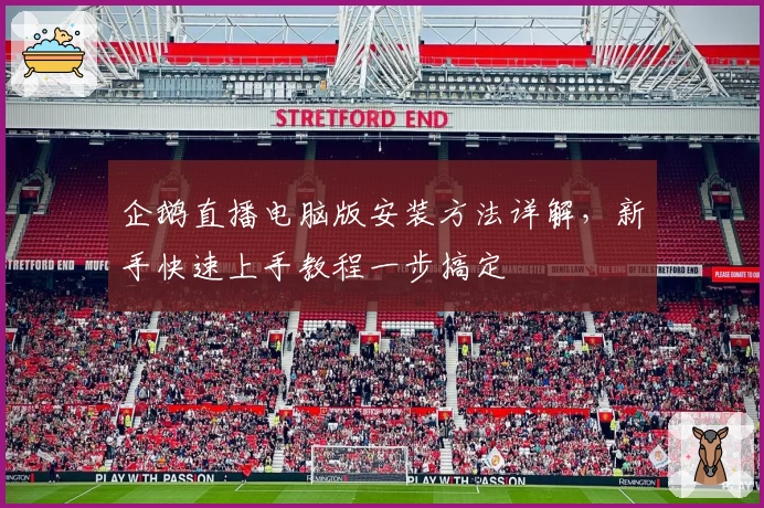 企鹅直播电脑版安装方法详解，新手快速上手教程一步搞定